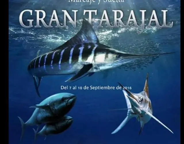 Berlin Lovely Apartament Gran Tarajal